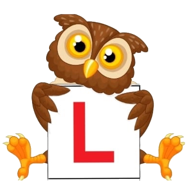 DriveWize Owl Logo